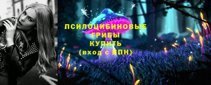 Галлюциногенные грибы Cubensis  blacksprut ТОР  Советская Гавань  купить  